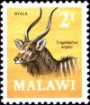 Colnect-6017-723-Nyala-Tragelaphus-angasi.jpg