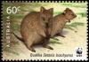 Colnect-6273-485-Quokka-Setonix-brachyurus.jpg