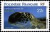 Colnect-698-748-Green-Sea-Turtle-Chelonia-mydas.jpg