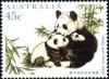 Colnect-728-883-Giant-Panda-Ailuropoda-melanoleuca.jpg