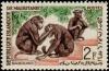 Colnect-872-003-Guinea-Baboon-Papio-papio.jpg