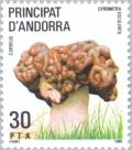 Colnect-142-595-Gyromitra-esculenta-False-morel.jpg