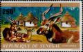 Colnect-2043-522-Sitatunga-at-Touristic-Campement.jpg