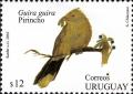 Colnect-2043-650-Guira-Cuckoo-Guira-guira.jpg