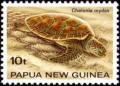 Colnect-3121-235-Green-Sea-Turtle-Chelonia-mydas.jpg