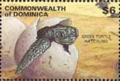 Colnect-3194-980-Green-Sea-Turtle-Chelonia-mydas.jpg