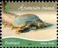 Colnect-4524-825-Green-Sea-Turtle-Chelonia-mydas.jpg