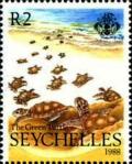 Colnect-5550-500-Green-Sea-Turtle-Chelonia-mydas.jpg