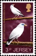 Colnect-5949-682-Bali-Myna-Leucopsar-rothschildi.jpg