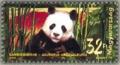 Colnect-610-709-Giant-Panda-Ailuropoda-melanoleuca.jpg