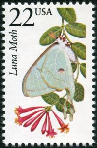 Colnect-4848-558-Luna-Moth-Actias-luna.jpg