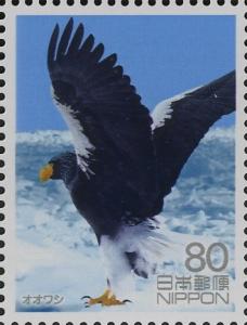 Colnect-4009-600-Steller--s-Sea-Eagle-Haliaeetus-pelagicus.jpg