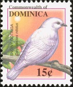 Colnect-1748-127-Snowy-Cotinga-nbsp-Carpodectes-nitidus-.jpg