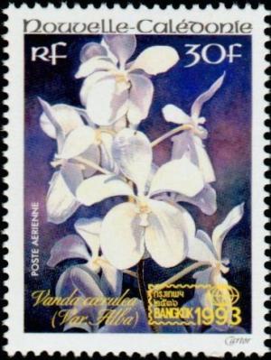 Colnect-1146-655-Vanda-coerulea-var-Alba.jpg