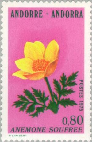 Colnect-141-921-Pulsatilla-alpina-ssp-apiifolia-.jpg