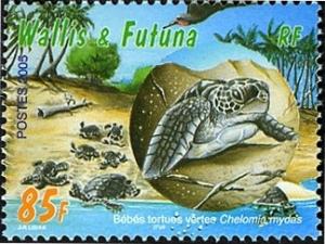 Colnect-1449-426-Green-Sea-Turtle-Chelonia-mydas.jpg