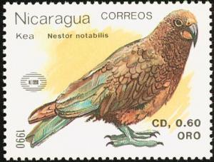 Colnect-1624-534-Kea-Nestor-notabilis.jpg