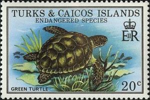 Colnect-1764-436-Green-Sea-Turtle-Chelonia-mydas.jpg