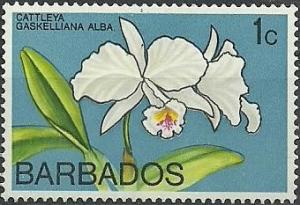 Colnect-1784-666-Cattleya-gaskelliana-synCattleya-gaskelliana-var-alba.jpg