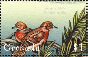 Colnect-2192-599-Zenaida-Dove-Zenaida-aurita.jpg