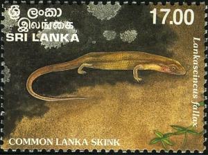 Colnect-2244-851-Peter-s-Lanka-Skink-Lankascincus-fallax.jpg