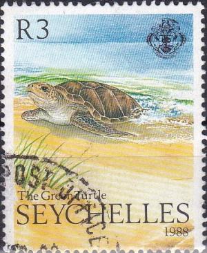 Colnect-2612-594-Green-Sea-Turtle-Chelonia-mydas.jpg