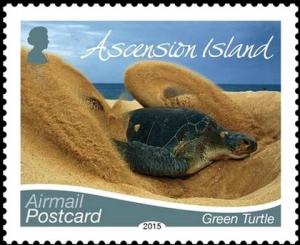 Colnect-2675-126-Green-Sea-Turtle-Chelonia-mydas.jpg