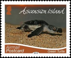 Colnect-2675-130-Green-Sea-Turtle-Chelonia-mydas.jpg