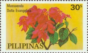 Colnect-2918-103-Mussaenda-Do-ntilde-a-Evangelina.jpg