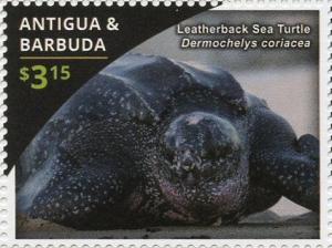 Colnect-3522-161-Leatherback-Sea-Turtle-Dermochelys-coriacea.jpg