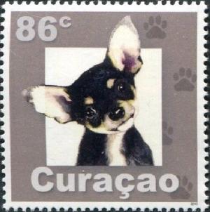 Colnect-3523-433-Chihuahua-Canis-lupus-familiaris.jpg