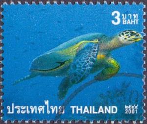 Colnect-3616-328-Green-sea-turtle-Chelonia-mydas.jpg