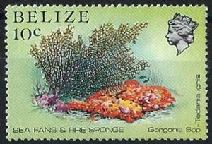 Colnect-3673-676-Sea-Fan-Gorgonia-sp-Fire-Sponge-Tedania-ignis-.jpg