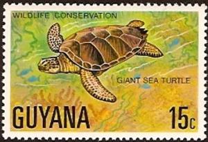 Colnect-3784-301-Green-Sea-Turtle-Chelonia-mydas.jpg