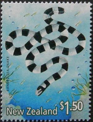 Colnect-4003-020-Blue-banded-Sea-Krait-Laticauda-laticaudata-.jpg