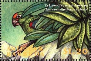 Colnect-4099-931-Yellow-crowned-Amazon%C2%A0%C2%A0%C2%A0%C2%A0Amazona-ochrocephala.jpg