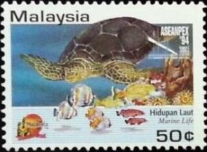 Colnect-4347-832-Green-Sea-Turtle-Chelonia-mydas.jpg