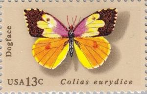 Colnect-4524-743-California-Dogface-Colias-eurydice.jpg