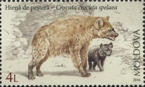 Colnect-5088-077-Cave-Hyena-Crocuta-Crocuta-Spelaea.jpg