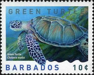 Colnect-5132-337-Green-Sea-Turtle-Chelonia-mydas.jpg