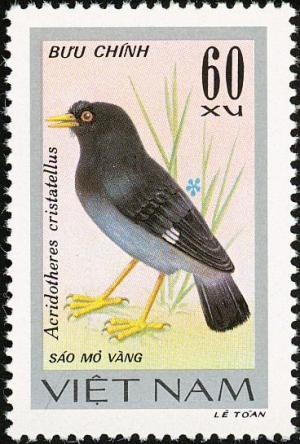 Colnect-5174-475-Crested-Myna-Acridotheres-cristatellus.jpg