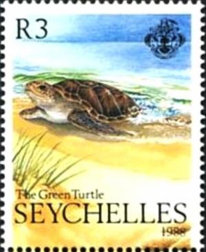 Colnect-5549-375-Green-Sea-Turtle-Chelonia-mydas.jpg