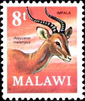 Colnect-6017-726-Impala-Aepyceros-melampus.jpg