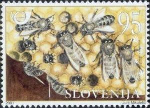 Colnect-697-350-Fauna-Honeybees---Drone.jpg