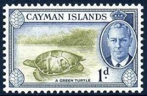 Colnect-822-613-Green-Sea-Turtle-Chelonia-mydas.jpg