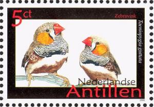 Colnect-966-969-Australian-Zebra-Finch%C2%A0Taeniopygia-guttatta.jpg