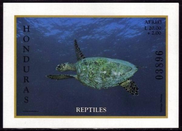 Colnect-3362-049-Green-Sea-Turtle-Chelonia-mydas.jpg