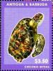 Colnect-5942-835-Green-Sea-Turtle-Chelonia-mydas.jpg