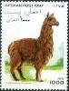 Colnect-5991-513-Alpaca-Lama-guanicoe-pacos.jpg