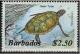 Colnect-1109-933-Green-Sea-Turtle-Chelonia-mydas.jpg